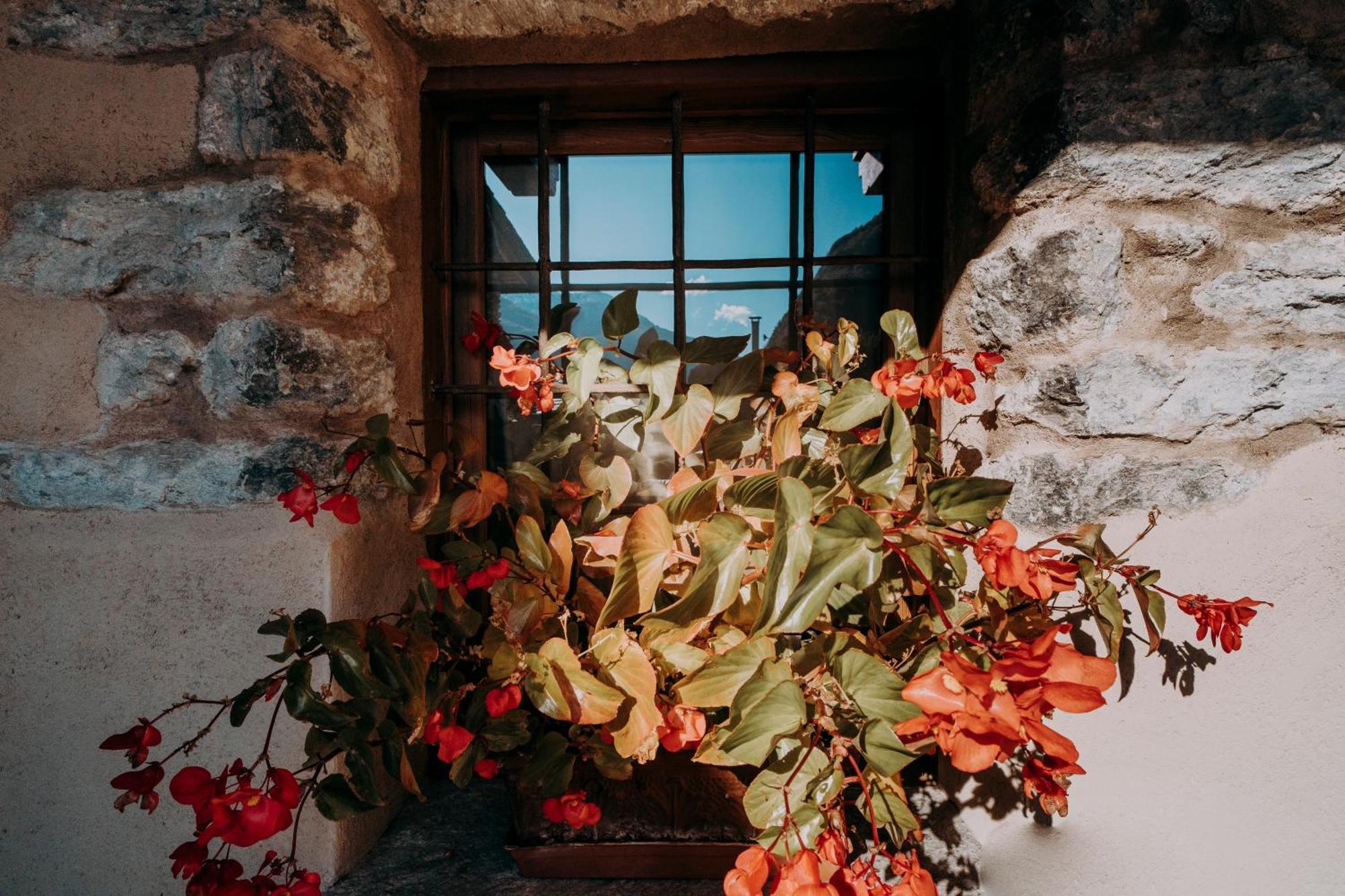 Au Coeur Du Village Chambres D'Hotes & Spa Arnad エクステリア 写真